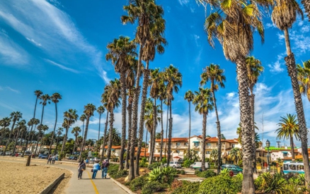 Cabrillo Bike Path lined with palm trees Santa Barbara, CA